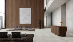 Roma Fog 0 | Aphelion Collection