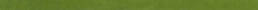 Marbella Forest | Aphelion Collection