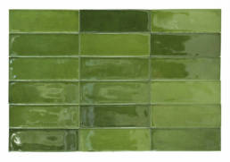 Marbella Forest | Aphelion Collection