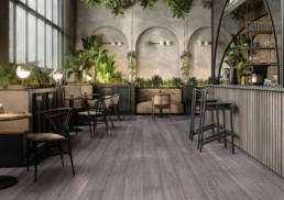 Legna 6 | Aphelion Collection