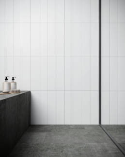 Traditum 0 | Aphelion Collection