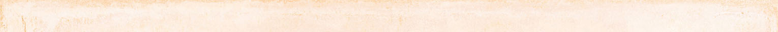 Zinc 2x24 Bullnose | Aphelion Collection