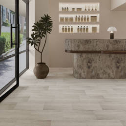 Piedra 1 | Aphelion Collection
