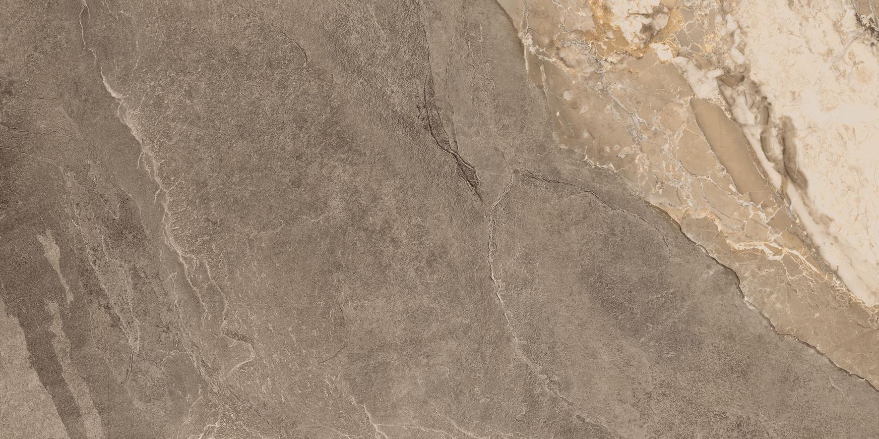 Velora Mousse | Aphelion Collection