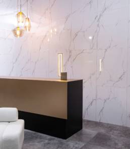 Carrara Marble 1 | Aphelion Collection